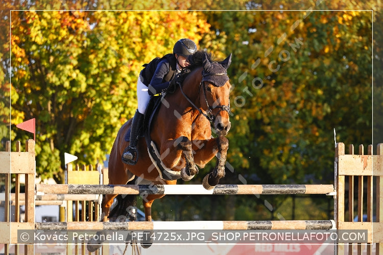 A kép az eredeti csökkentett reprezentációja