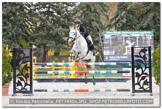 A kép az eredeti csökkentett reprezentációja