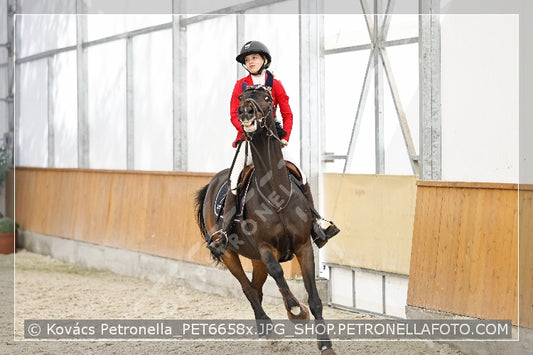 A kép az eredeti csökkentett reprezentációja