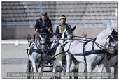 A kép az eredeti csökkentett reprezentációja
