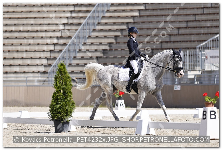 A kép az eredeti csökkentett reprezentációja