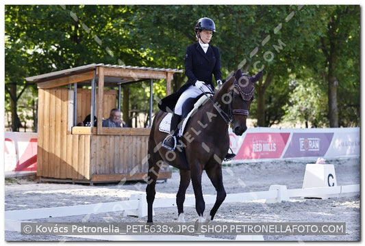 A kép az eredeti csökkentett reprezentációja
