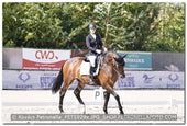 A kép az eredeti csökkentett reprezentációja