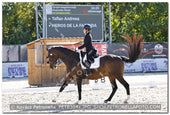 A kép az eredeti csökkentett reprezentációja