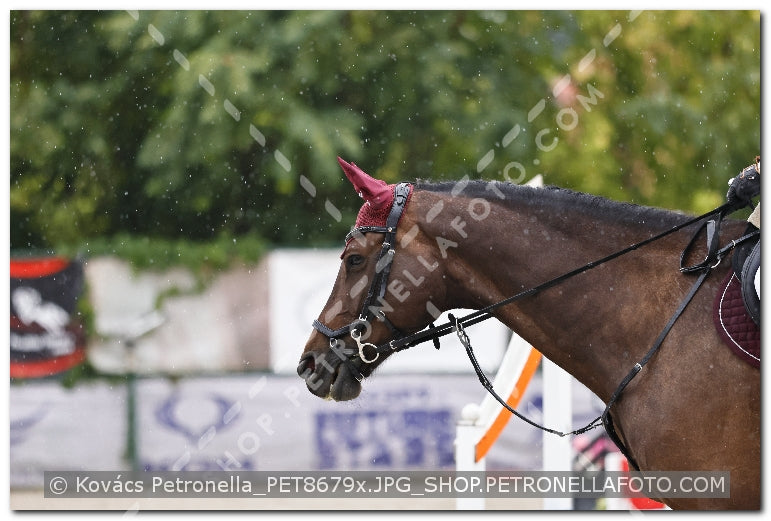 A kép az eredeti csökkentett reprezentációja