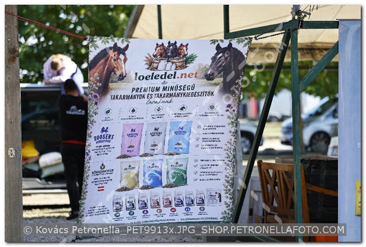 A kép az eredeti csökkentett reprezentációja