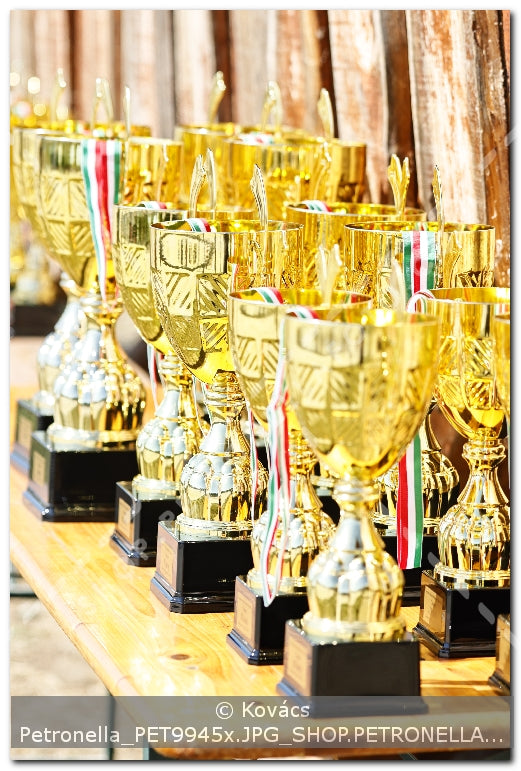 A kép az eredeti csökkentett reprezentációja