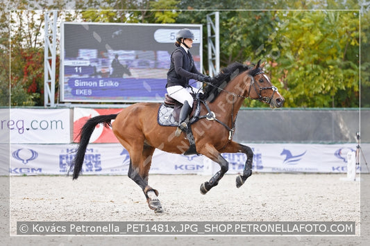 A kép az eredeti csökkentett reprezentációja