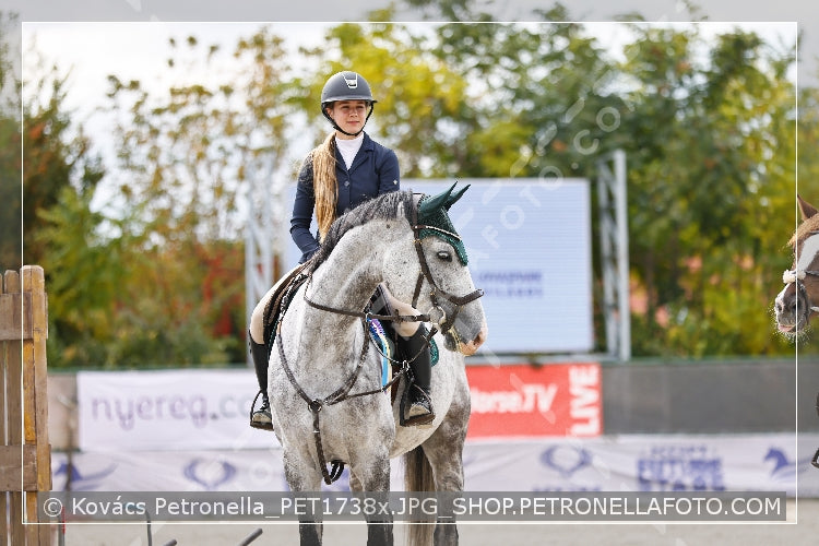 A kép az eredeti csökkentett reprezentációja
