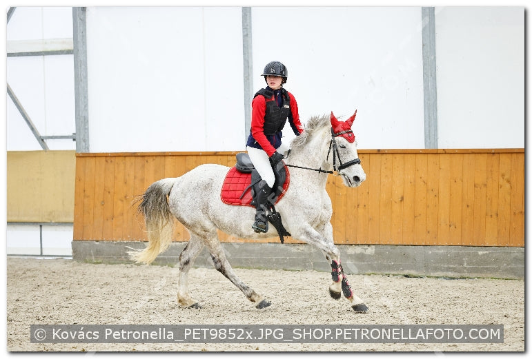 A kép az eredeti csökkentett reprezentációja