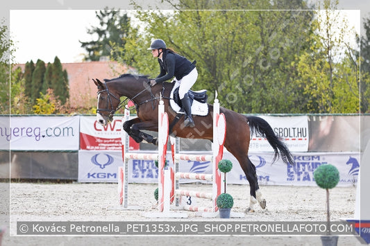 A kép az eredeti csökkentett reprezentációja