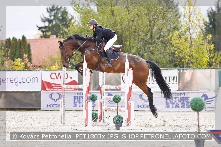 A kép az eredeti csökkentett reprezentációja