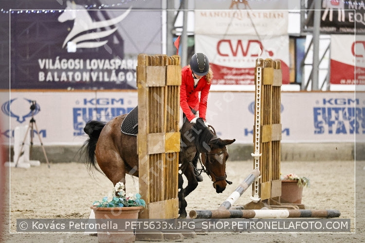 A kép az eredeti csökkentett reprezentációja