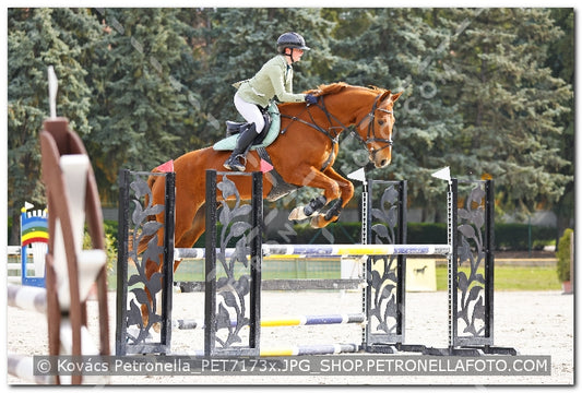 A kép az eredeti csökkentett reprezentációja