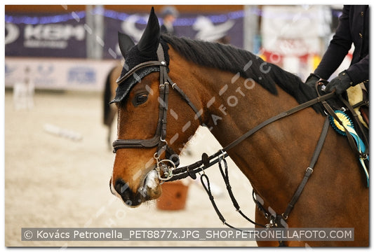 A kép az eredeti csökkentett reprezentációja