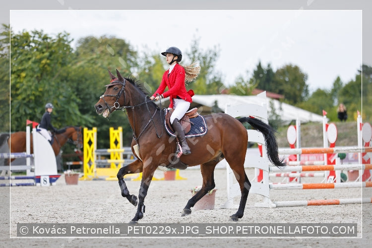 A kép az eredeti csökkentett reprezentációja