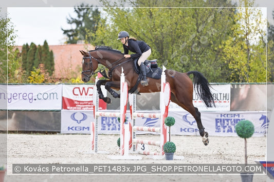 A kép az eredeti csökkentett reprezentációja