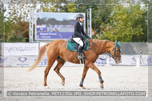 A kép az eredeti csökkentett reprezentációja