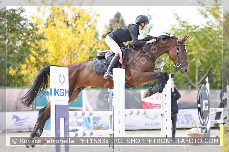 A kép az eredeti csökkentett reprezentációja