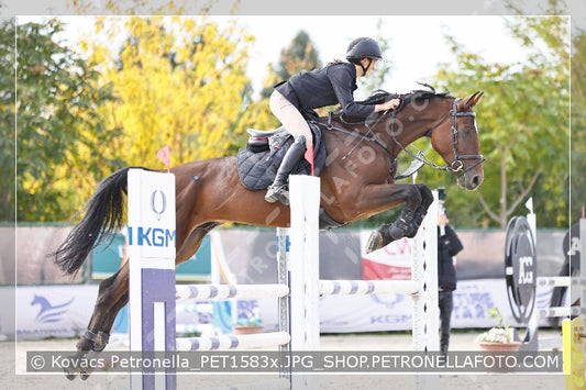 A kép az eredeti csökkentett reprezentációja