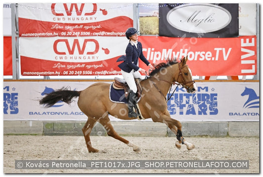A kép az eredeti csökkentett reprezentációja