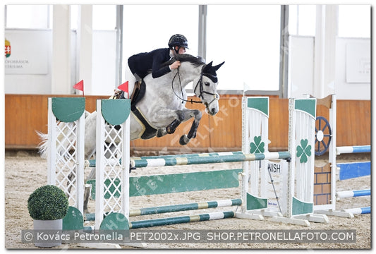A kép az eredeti csökkentett reprezentációja