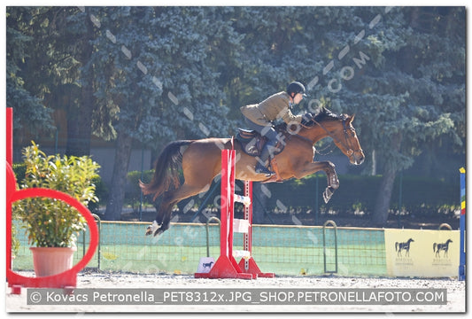 A kép az eredeti csökkentett reprezentációja
