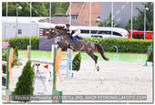 A kép az eredeti csökkentett reprezentációja