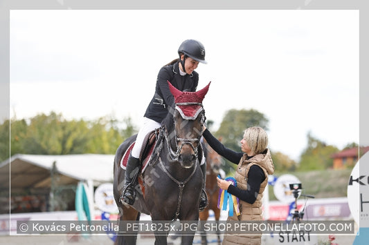 A kép az eredeti csökkentett reprezentációja