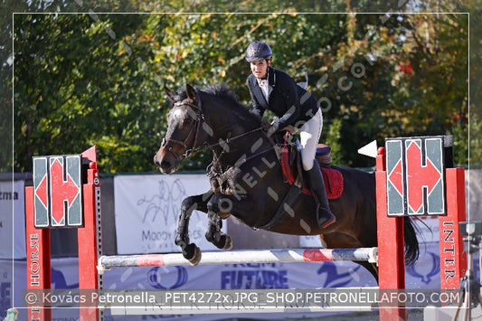 A kép az eredeti csökkentett reprezentációja