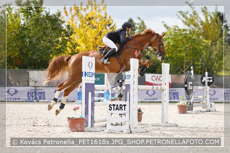 A kép az eredeti csökkentett reprezentációja