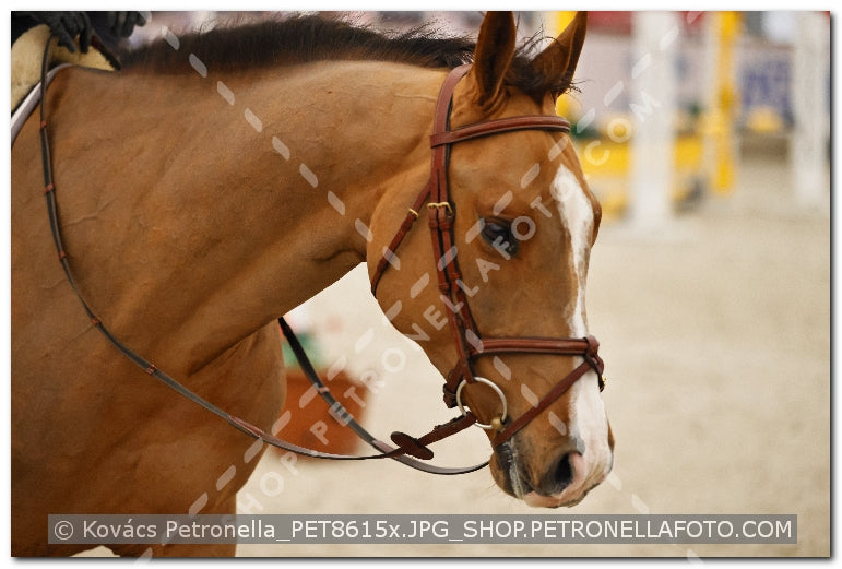 A kép az eredeti csökkentett reprezentációja