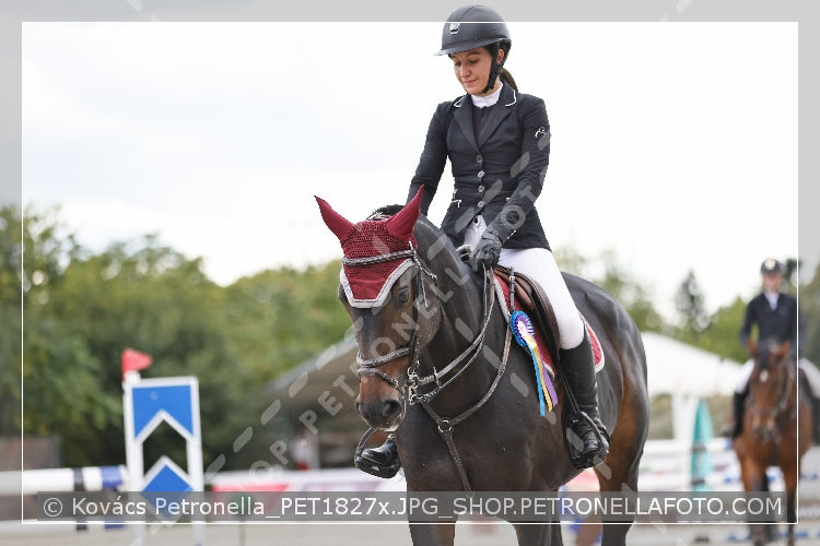 A kép az eredeti csökkentett reprezentációja