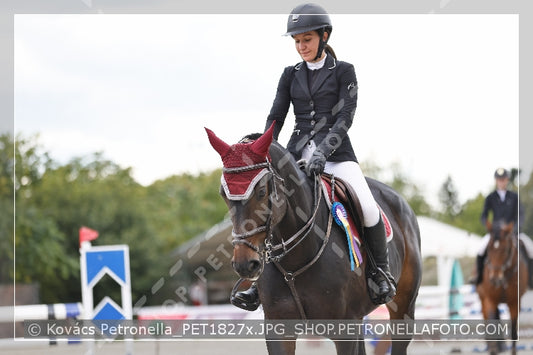A kép az eredeti csökkentett reprezentációja