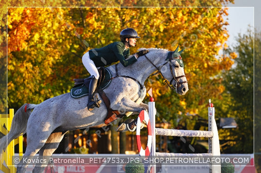 A kép az eredeti csökkentett reprezentációja