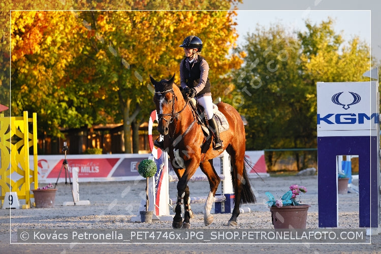 A kép az eredeti csökkentett reprezentációja