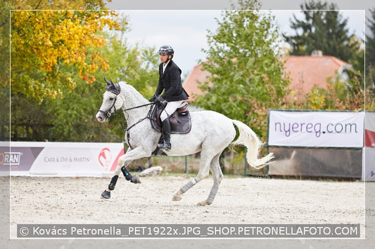 A kép az eredeti csökkentett reprezentációja