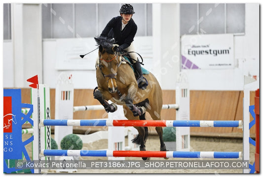 A kép az eredeti csökkentett reprezentációja