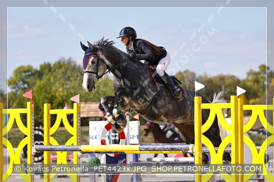 A kép az eredeti csökkentett reprezentációja