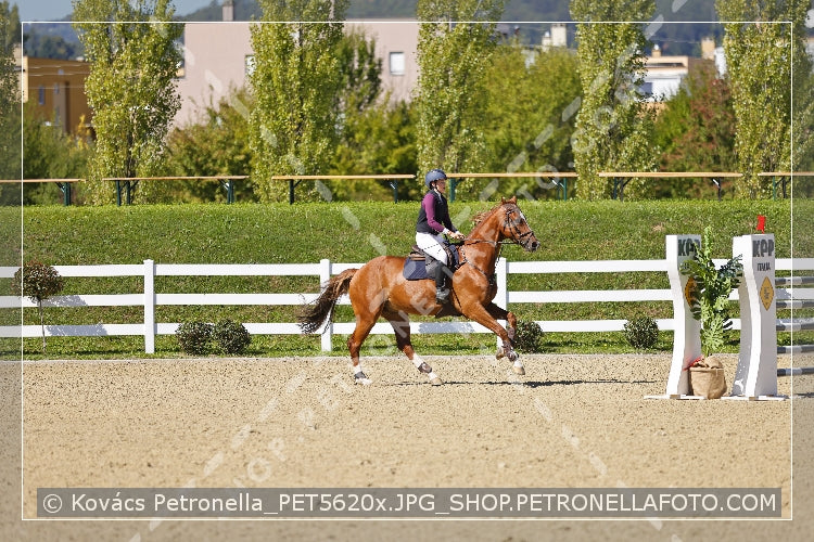 A kép az eredeti csökkentett reprezentációja