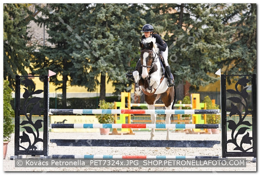 A kép az eredeti csökkentett reprezentációja