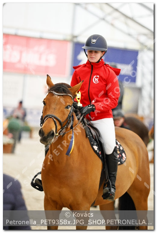 A kép az eredeti csökkentett reprezentációja