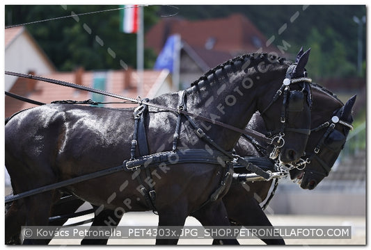 A kép az eredeti csökkentett reprezentációja