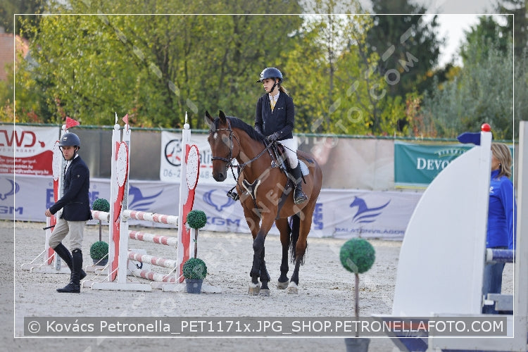 A kép az eredeti csökkentett reprezentációja