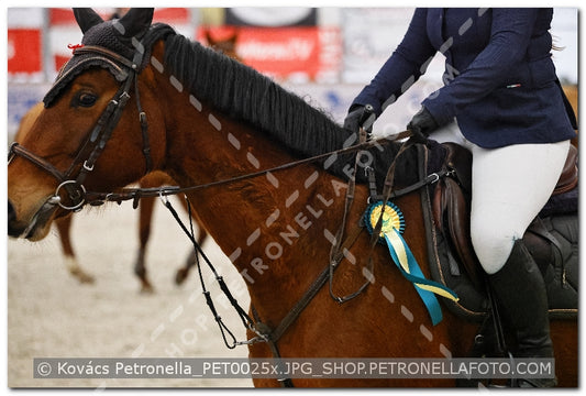 A kép az eredeti csökkentett reprezentációja