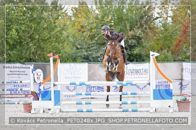 A kép az eredeti csökkentett reprezentációja