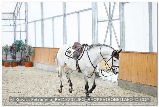 A kép az eredeti csökkentett reprezentációja