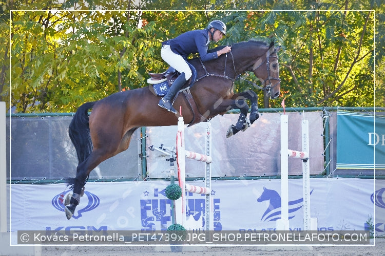 A kép az eredeti csökkentett reprezentációja