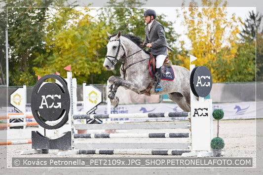 A kép az eredeti csökkentett reprezentációja