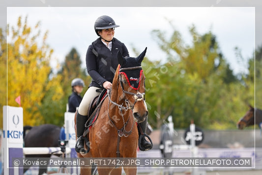 A kép az eredeti csökkentett reprezentációja
